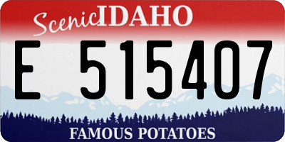 ID license plate E515407