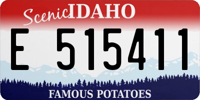 ID license plate E515411
