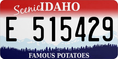 ID license plate E515429