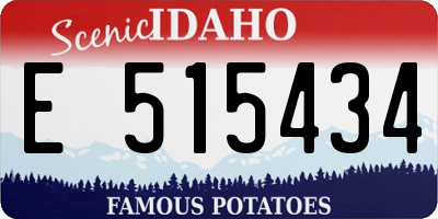 ID license plate E515434