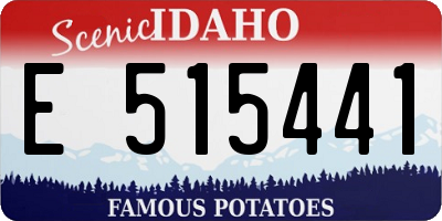 ID license plate E515441