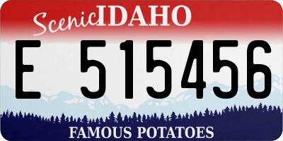 ID license plate E515456