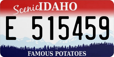 ID license plate E515459