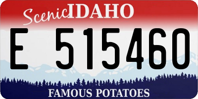 ID license plate E515460