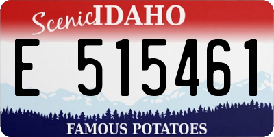 ID license plate E515461