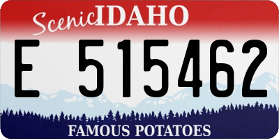 ID license plate E515462