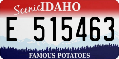 ID license plate E515463
