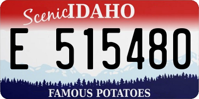 ID license plate E515480