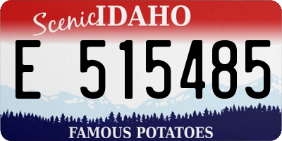 ID license plate E515485