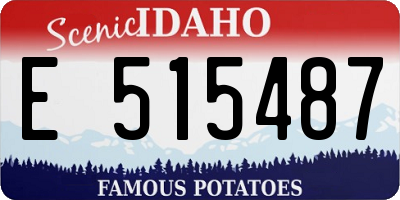 ID license plate E515487