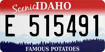 ID license plate E515491