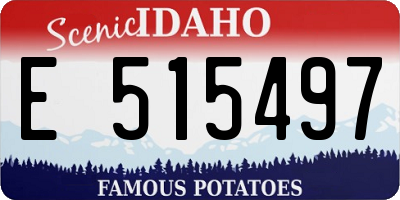 ID license plate E515497