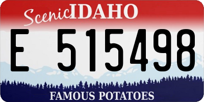 ID license plate E515498