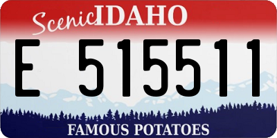 ID license plate E515511