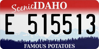 ID license plate E515513