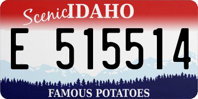 ID license plate E515514