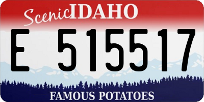ID license plate E515517