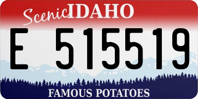 ID license plate E515519
