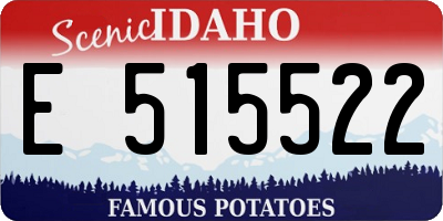 ID license plate E515522