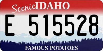 ID license plate E515528