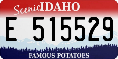 ID license plate E515529