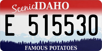 ID license plate E515530