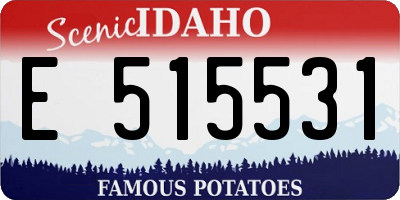 ID license plate E515531