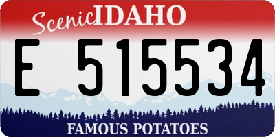 ID license plate E515534