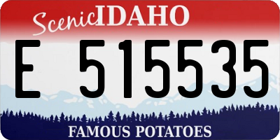 ID license plate E515535