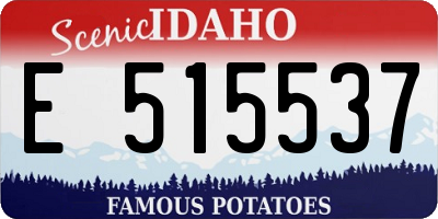 ID license plate E515537