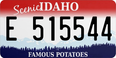 ID license plate E515544