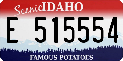 ID license plate E515554