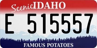 ID license plate E515557