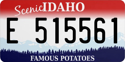 ID license plate E515561
