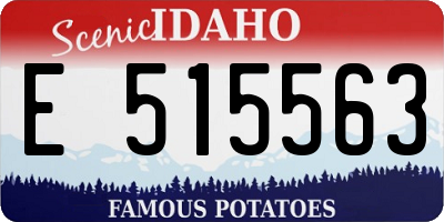 ID license plate E515563