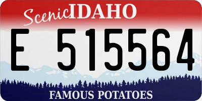 ID license plate E515564