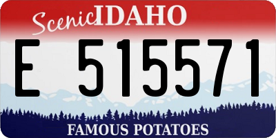 ID license plate E515571