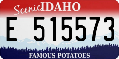 ID license plate E515573