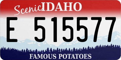 ID license plate E515577