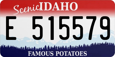 ID license plate E515579