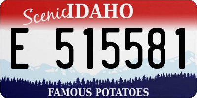 ID license plate E515581
