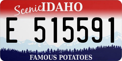 ID license plate E515591