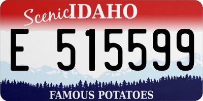 ID license plate E515599