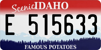 ID license plate E515633