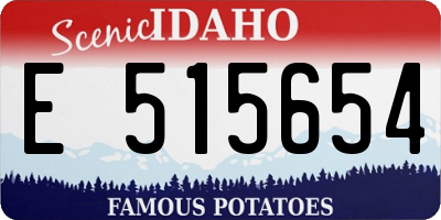 ID license plate E515654