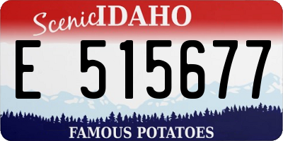 ID license plate E515677