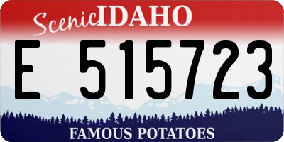 ID license plate E515723