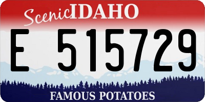 ID license plate E515729