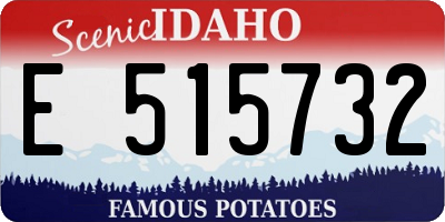 ID license plate E515732