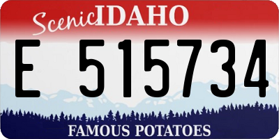 ID license plate E515734